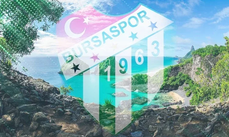 Brezilya’dan Bursa’ya İlginç Çağrı!..