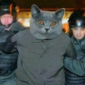 Pisi-kopat kullanıcısının profil fotoğrafı