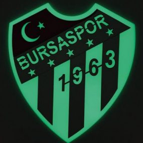 DELİORMANLI kullanıcısının profil fotoğrafı