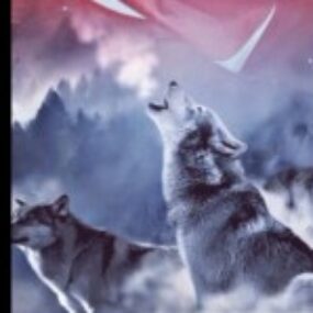 Kurtbey16 kullanıcısının profil fotoğrafı