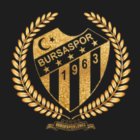 Bursaspor Kulübü fotoğrafı