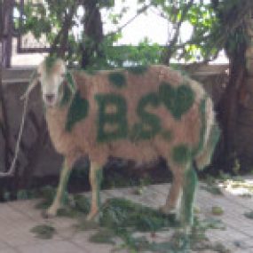 obursali kullanıcısının profil fotoğrafı